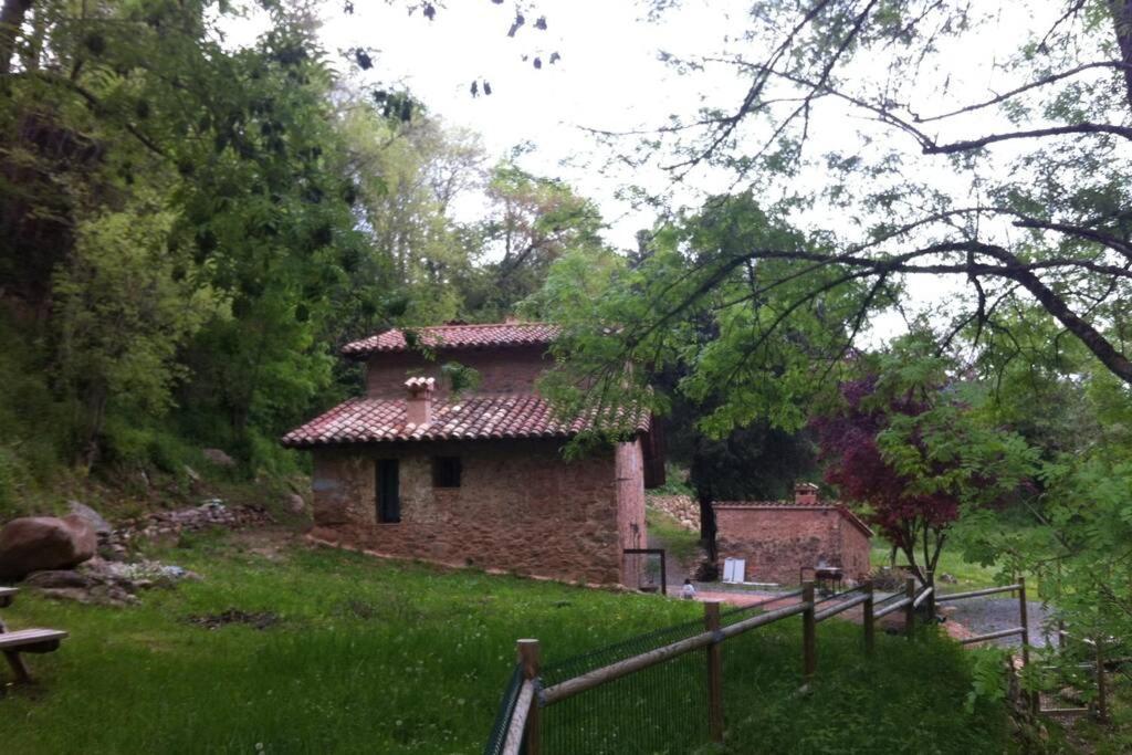 La Badenca. Masia Catalana Del S. XVII Riudaura 外观 照片