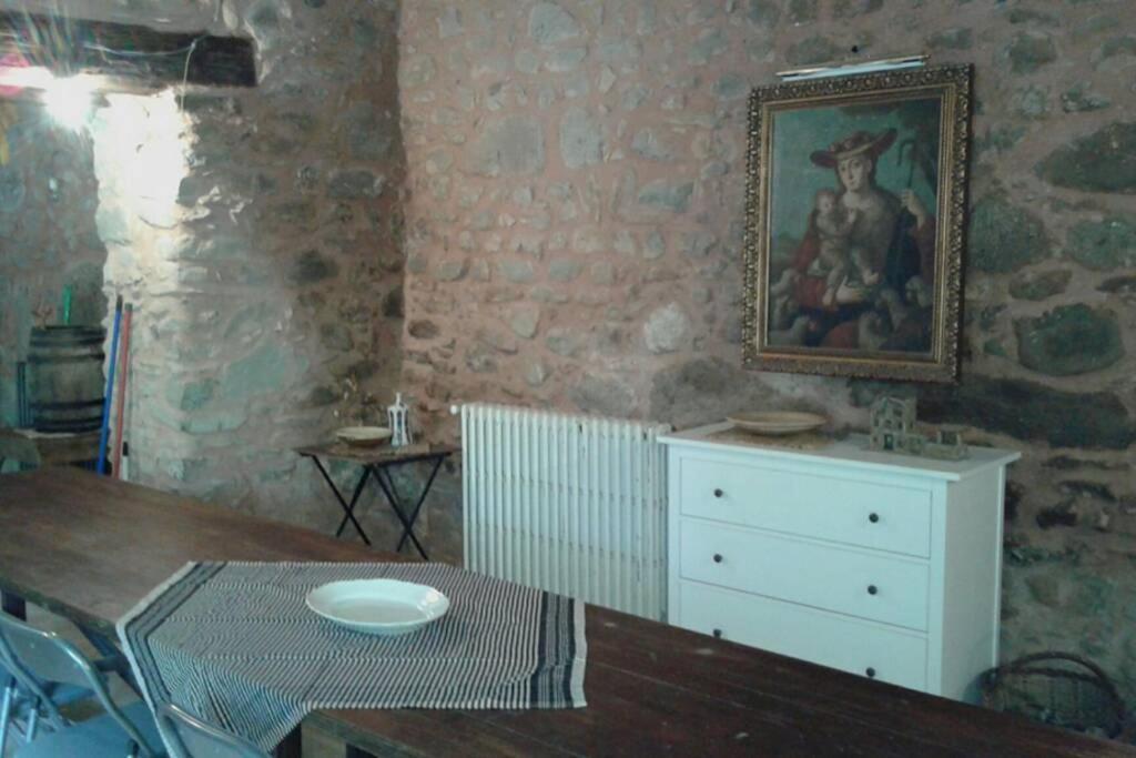 La Badenca. Masia Catalana Del S. XVII Riudaura 外观 照片